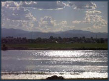 Trestle Lake Farm lake